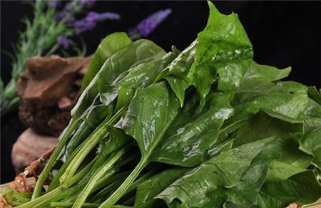 夏天備孕吃什么好 夏天備孕飲食很重要