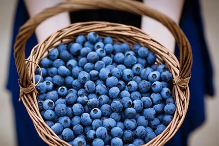 哺乳期能吃莲蓬吗