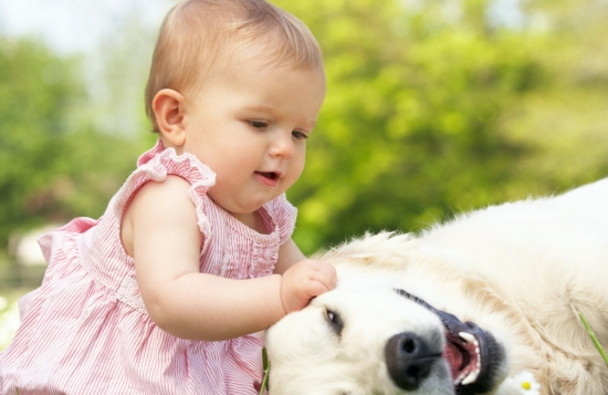 高学历家长和低学历家长最大差别是什么？这4个故事一针见血！