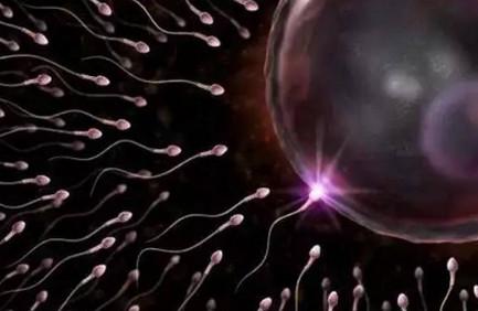 射入阴道的精子是怎么跟卵子相遇的？过程实在太难了！