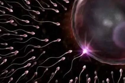 射入阴道的精子是怎么跟卵子相遇的？过程实在太难了！