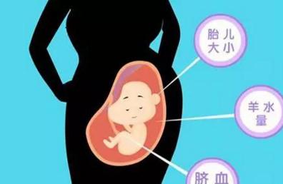 孕期一共要做几次B超？主要是查什么？