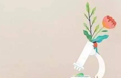 孩子学习能不能进步，20%靠智商，80%靠这个！家长必读