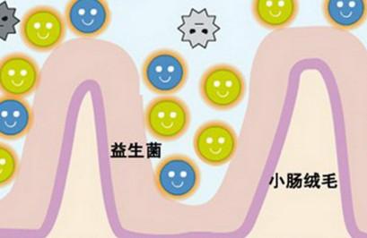 益生菌的58个问与答，您想知道的都在这里