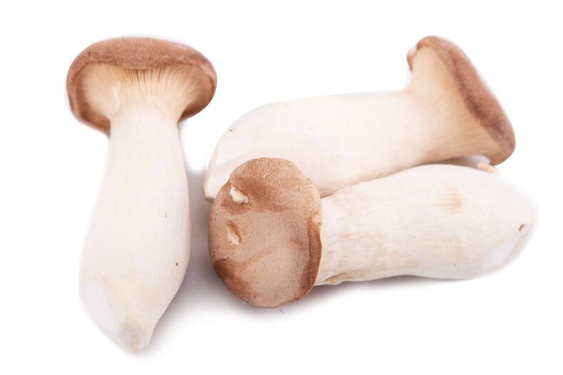 宝宝吃杏鲍菇的禁忌 小孩吃杏鲍菇的注意事项