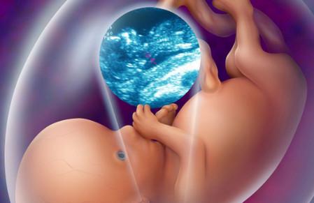 孕妇老是担心胎儿健康？有益胎儿健康的16件事