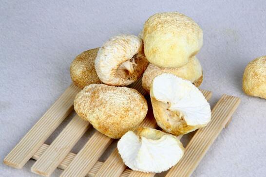 宝宝可以吃猴头菇吗 小孩能不能吃猴头菇