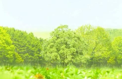 《我的前半生》：凌玲不会有好下场不是因为小三上位，而是……