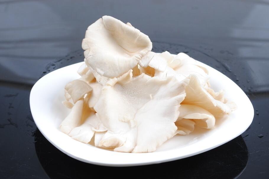 宝宝吃平菇的做法大全 平菇怎么做给宝宝吃