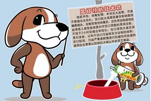 预防狂犬病手抄报