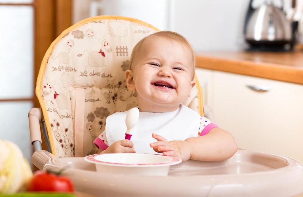 八个月宝宝饮食要注意些什么 家有8个月宝宝喂养小知识
