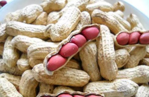 这5种食物是胎儿大脑发育的“脑黄金”，你吃了吗？