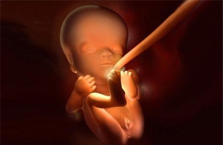 孕中期胎儿怕什么 孕中期产检要在这个时候做