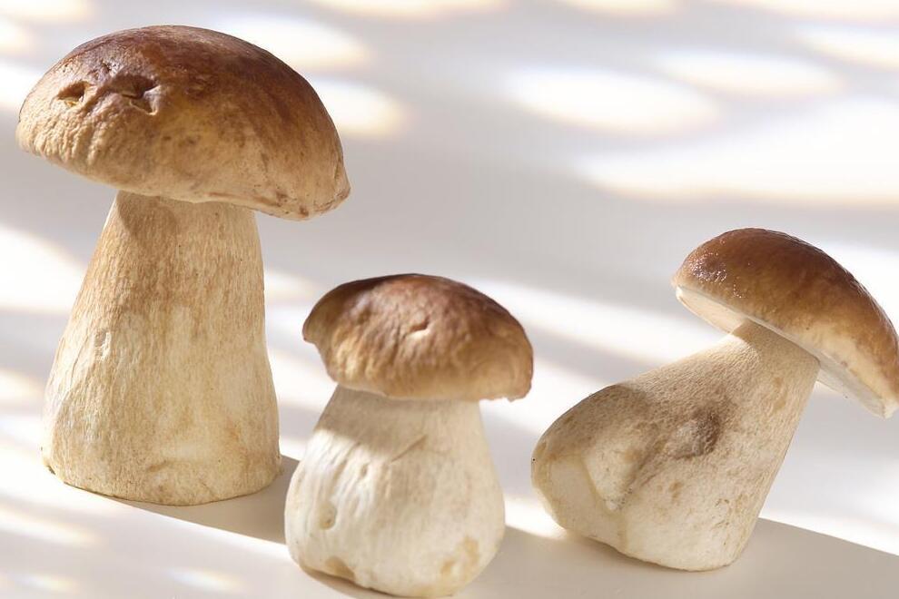 牛肝菌多少钱一斤 牛肝菌的价格是多少