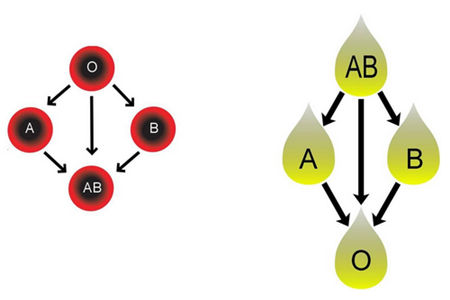 孕期怎么查胎儿血型 早知胎儿血型很重要