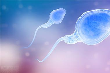 正常精子图片 这样的精子才是正常的