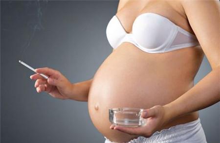 孕妇拔牙对胎儿有什么影响 孕期拔牙有讲究