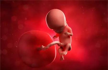 胚胎停止发育会有什么症状 这些前兆反应要了解