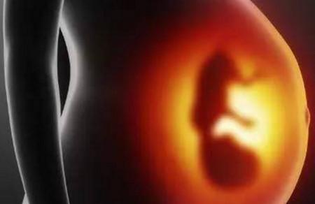 孕期胎儿生长发育 感官发育顺序介绍