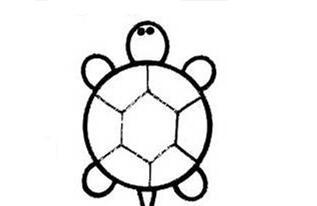 简单的乌龟简笔画的画法步骤