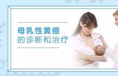 母乳性黄疸的诊断和治疗（超全总结）