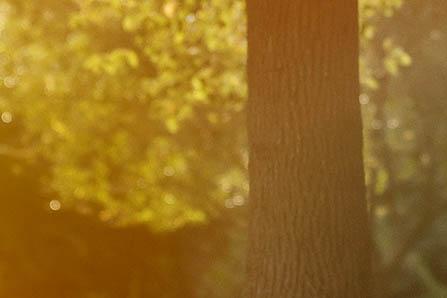 hpv疫苗什么人不适合打，这四类人群要注意了