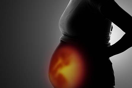 韭菜苔的花能吃吗