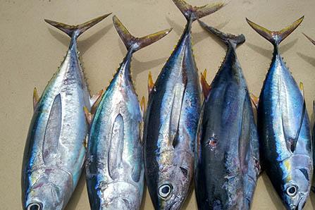 孕妇脚肿是男孩吗 孕妇脚肿怎么缓解