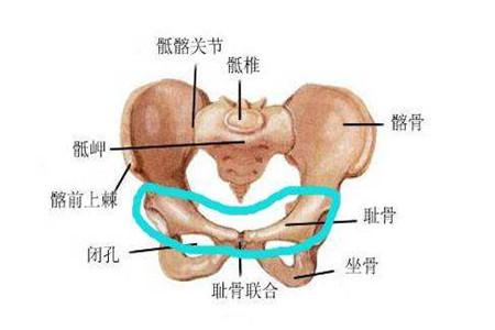 孕妇耻骨痛一般是发生在第几周 知道时间早作打算