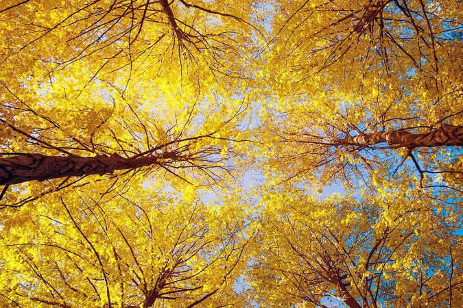 2017年8月7号几点立秋 2017年立秋时辰