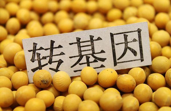 转基因食物有哪些 转基因识别指南顺口溜