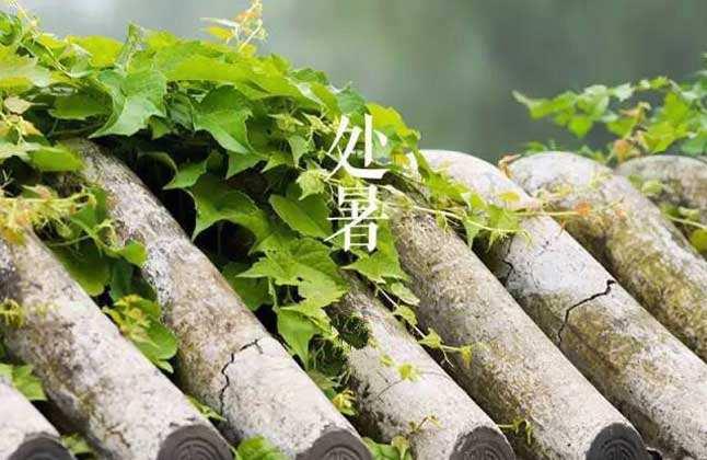 2017年处暑是哪一天 处暑后宝宝护理要注意
