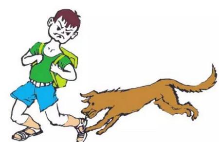 警惕：夏季狂犬病高发，孩子如何预防狂犬病？