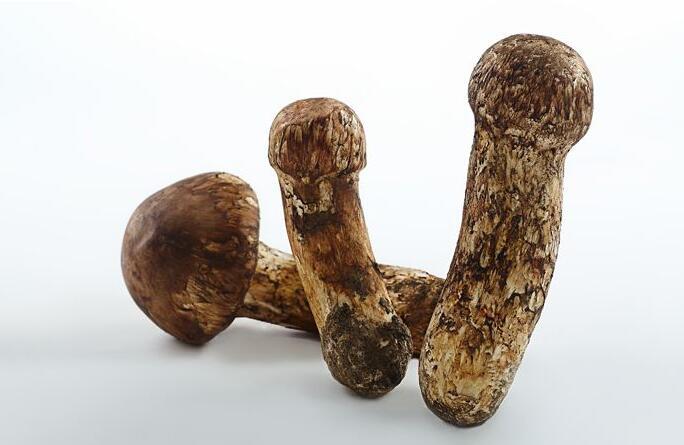 宝宝吃松茸的功效与作用 宝宝吃松茸有什么好处