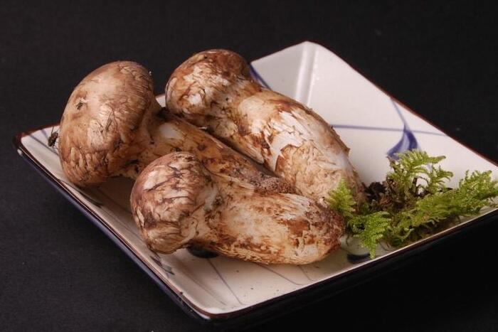 松茸怎么清洗 松茸清洗不可不看三大步骤