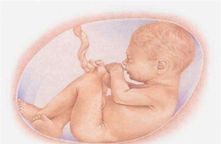孕囊大小是胎儿大小吗 两者关系要理清