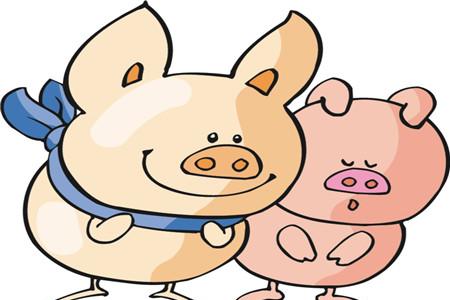 狗宝宝和猪宝宝哪个好 近两年准备生育的快看过来