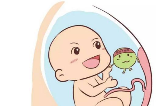 孕晚期要存储脐带干细胞吗？有关脐带干细胞的知识解答