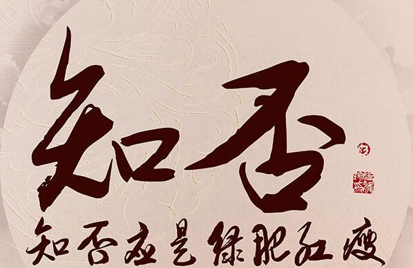 知否知否应是绿肥红瘦电视剧演员表