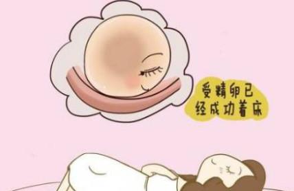 受精卵着床是怎样的呢？！