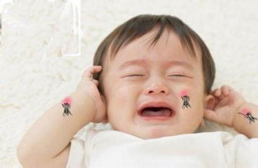 夏季如何驱蚊防蚊？宝宝被蚊虫叮咬了怎么破？