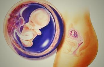 3年遭遇3次胚胎停育！胚胎停育的原因