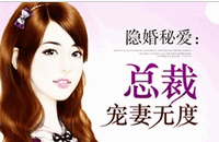 隐婚秘爱：总裁宠妻无度小说全文