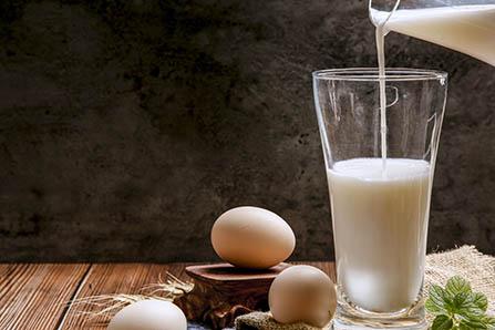 红狐狸的箱子的故事