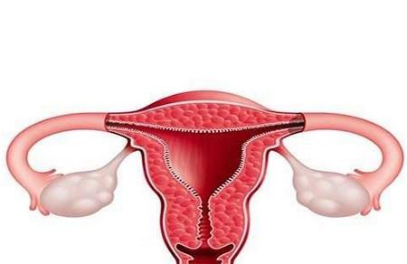 影响妊娠率的两大关键是什么？胚胎种植会受到哪些因素的影响呢？