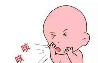 小儿百日咳如何治疗？有哪些注意事项？