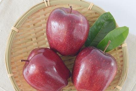 蛇果是热性还是凉性