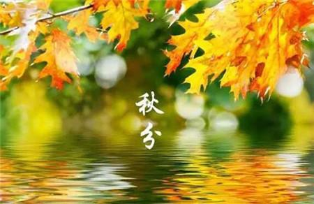 秋季要怎么养生 出伏到秋分,教你如何预防中风