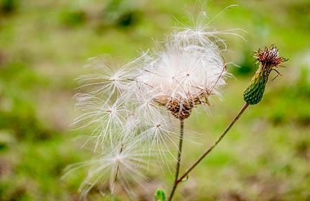 孕妇可以用背背佳吗 背背佳适合哪些人使用