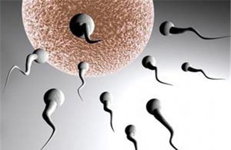 精子质量差影响宝宝吗 男方精子很重要